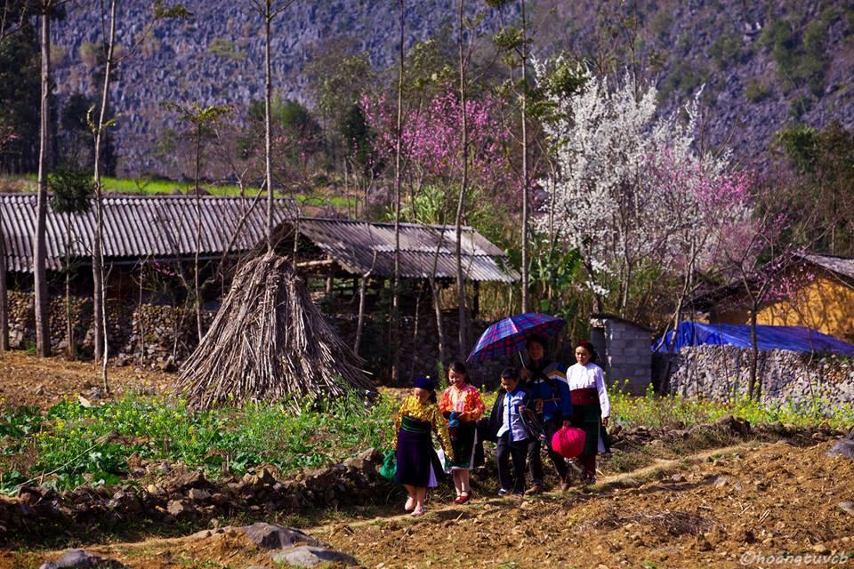 Tam Giac Mach Hotel Ha Giang Luaran gambar