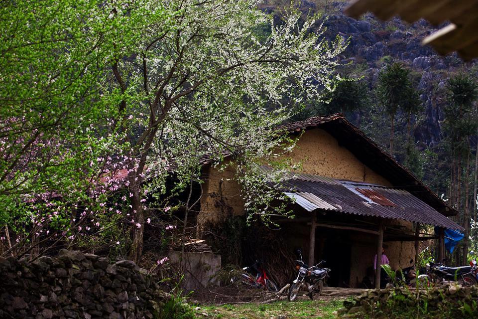 Tam Giac Mach Hotel Ha Giang Luaran gambar